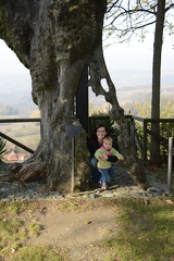 Erynn and Greta in an old tree trunk